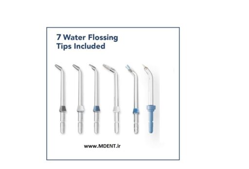 Aquarius Professional Water Flosser 9