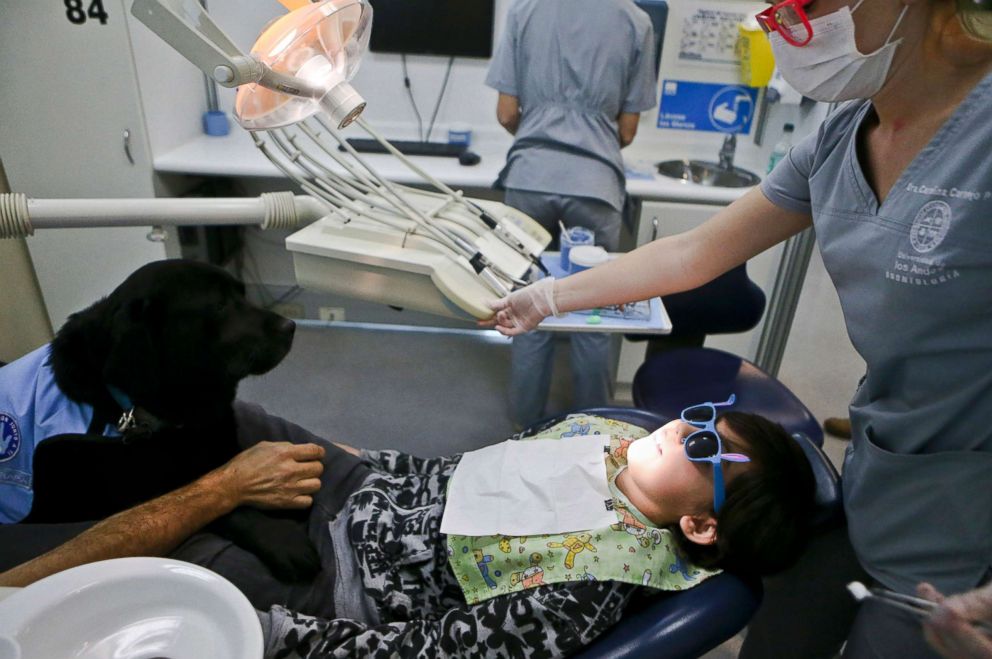 کمک سگ‌ها برای درمان دندان‌پزشکی کودکان اوتیسمی