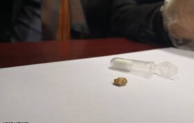 کشف یک دندان شیری، نخستین ردپای ساکنان ماقبل تاریخ در ایران