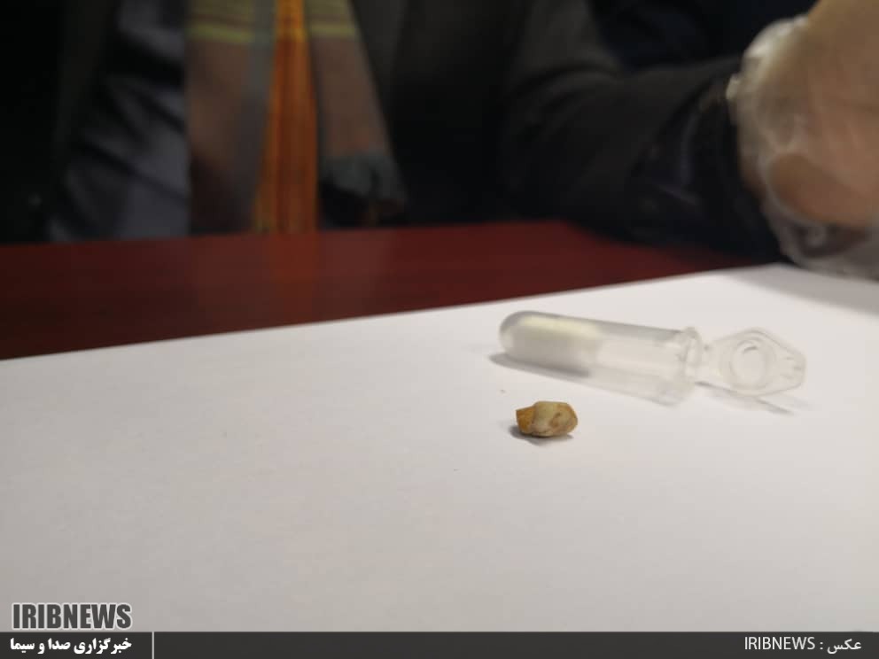 کشف یک دندان شیری، نخستین ردپای ساکنان ماقبل تاریخ در ایران
