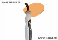 Dental Woodpecker Curning Light LED.G