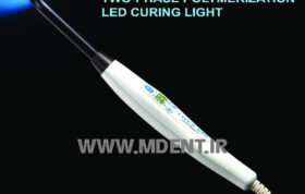 Dentamerica Curning Light LITEX 695 LED