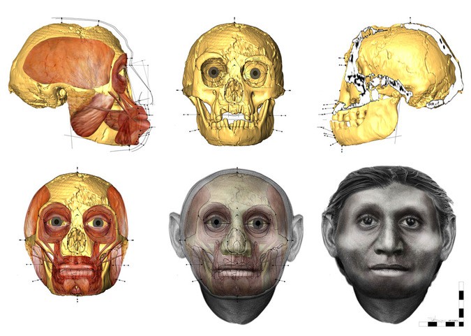 کشف دندان‌های ۱۸هزار ساله در اندونزی