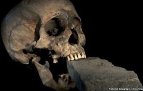 چرا انسان‌های اولیه دندان‌های سالمتری داشتند؟