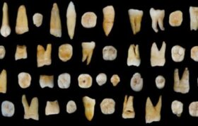 آیا کشف دندان‌های ۸۰هزار ساله تاریخ بشر را تغییر می‌دهد؟